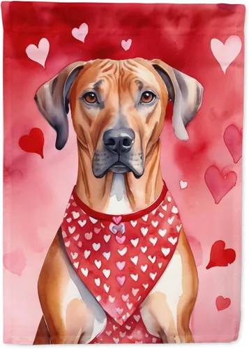 Miniatura 164 de Caroline's Treasures DAC5292CHF - Bandera de Border Collie My Valentine House para porche, grande, con manga para porche, para colgar en la pared