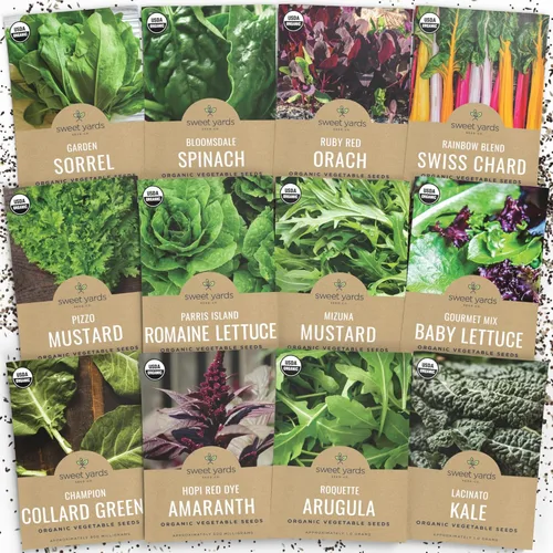 Paquete variado de semillas orgánicas de verduras saludables, 12 paquetes individuales, temporada 2026, rúcula, col rizada, acelgas, espinacas,
