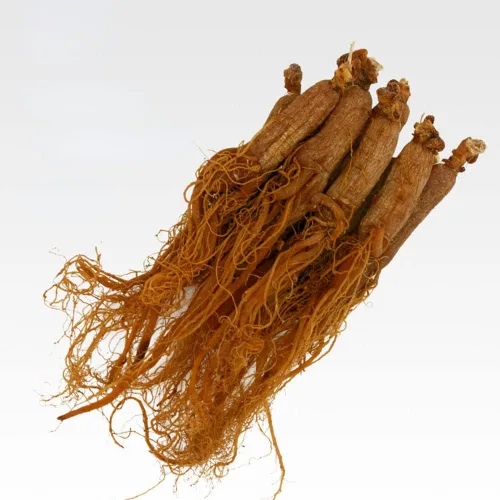 Miniatura 4 de Raíz de ginseng rojo, ginseng rojo de Corea, raíz de ginseng rojo coreano, raíz de ginseng coreano rojo orgánico natural, raíz de ginseng radix
