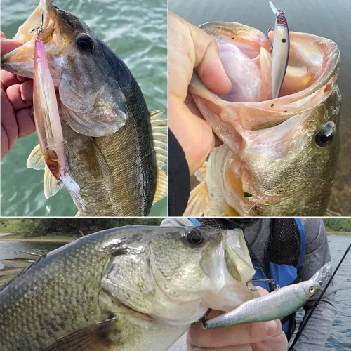 Miniatura 5 de Kit de Señuelo Jerkbait XFISHMAN - Señuelo de Peces Pequeños - Suspendido - Lubina, Lubina de Boca Pequeña, Lucioperca, Lubina de Boca Grande - 1