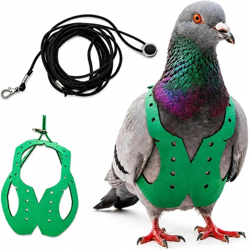 Miniatura 26 de Juego de arnés ajustable y correa para pájaros pequeños, apto para periquitos, conures, cacatúas, mejillas verdes, loros cuáqueros (verde, XS) 6350-6