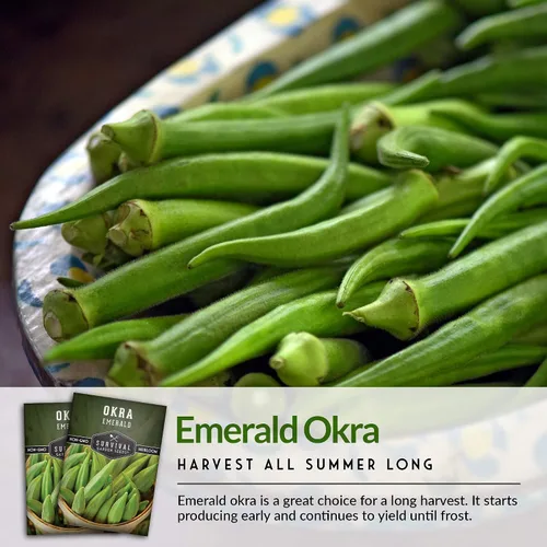 Miniatura 6 de Survival Garden Seeds - Semilla de okra esmeralda para plantar - Paquete con instrucciones para plantar y cultivar Okra tierna y grande en tu huerto