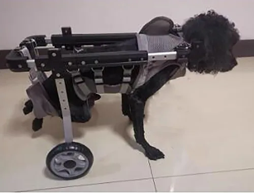 Miniatura 2 de Dog Wheelchair Adjustable Pet Wheel Chair for Back Legs, 2-Wheel Dog Cart for Hind Leg, Rear Support Mobility Aid Fit Leg/Hip Weakness, Easy to