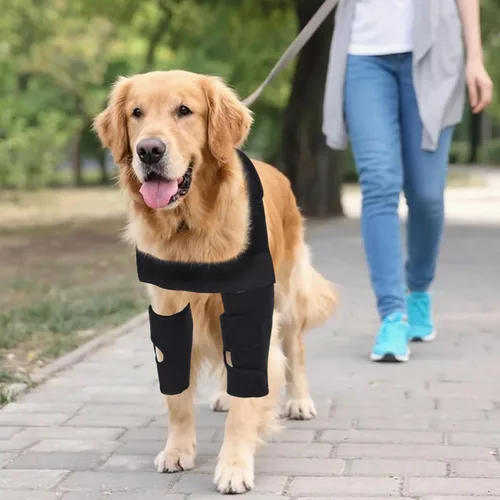 Miniatura 6 de Protector de codo para perro, coderas de perro para pierna delantera para alivio elástico de tumores de efusión, callos, edema, displasia, úlceras