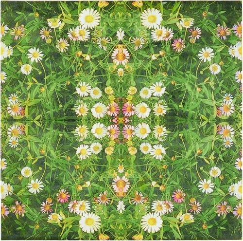 Miniatura 7 de Juvale Servilletas de papel de margarita, papel de seda absorbente de 2 capas, decoración de fiesta de jardín y despedida de soltera, servilletas