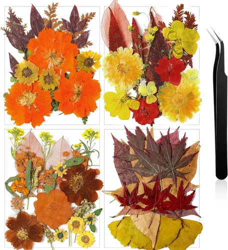 Miniatura 9 de Nuanchu Flores secas prensadas negras para manualidades, flores secas góticas, flores silvestres prensadas naturales a granel con pinzas para molde