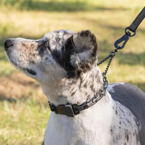 Miniatura 7 de Collar para Perro Herm Sprenger de Acero Inoxidable Negro con Hebilla de Liberación Rápida ClicLock y Inserción de Biothane Collar de Entrenamiento