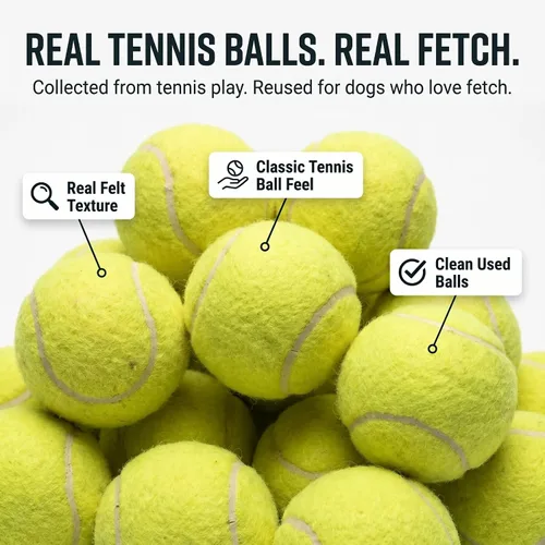 Miniatura 4 de 25-100 Pelotas de Tenis Usadas para Perros - Apoya una Organización sin Fines de Lucro de Reciclaje de EE.UU.: Pelota de Tenis Usada Limpia - Juego