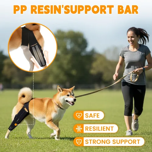 Miniatura 4 de Rodillera para perro para desgarro del ligamento cruzado anterior, soporte ajustable y transpirable para pierna trasera, material duradero para una