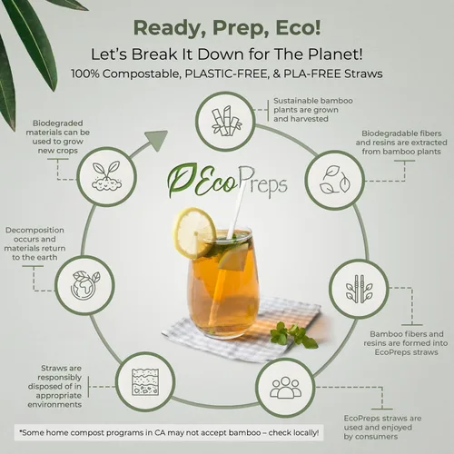 Miniatura 6 de EcoPreps Pajitas de fibra de bambú biodegradables, 150 unidades, 100% compostables, sin plástico, ecológicas, popotes desechables de fibra vegetal