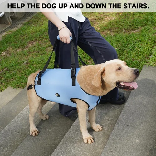 Miniatura 2 de Coodeo Arnés de elevación para perros, soporte para mascotas y rehabilitación con correa ajustable para chaleco acolchado transpirable, correas