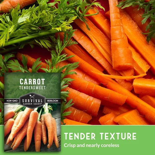 Miniatura 4 de Paquete de 2 semillas de zanahoria tiernas para plantar, paquete con instrucciones para cultivar zanahorias naranjas largas y crujientes en tu