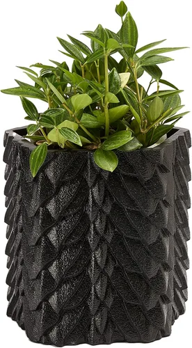 GUTE Dragon Scales - Maceta y decantador – GOT, Fantasy I Plant and I Know Things – Jarrón de flores color mármol negro de 6 pulgadas – Dragón