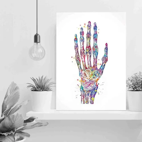 Miniatura 3 de Póster de pared enmarcado, huesos de mano, acuarela, huesos de mano, huesos de mano, arte médico, ciencia, arte ortopédico, enfermera, medicina