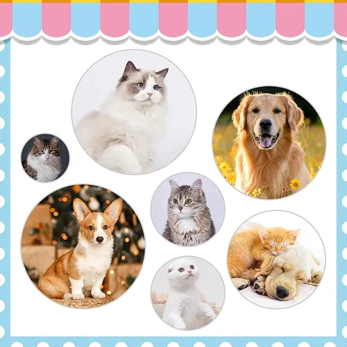 Miniatura 5 de Cepillos para gatos de interior, cepillo de perro para quitar con peine de metal para gatos, cepillo de pelo de mascotas autolimpiante con botón