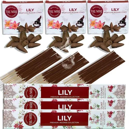 Miniatura 16 de Dragons Blood - Varillas de incienso y conos de reflujo para cascada, 60 varillas + 30 conos, paquete combinado de incienso en cascada Sangre
