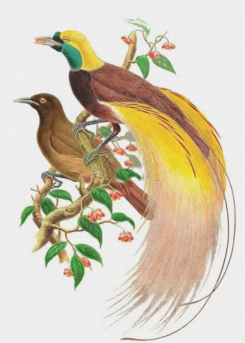 Miniatura 14 de Canguros australianos John Gould Counted Patrón de punto de cruz