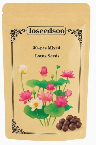 30 semillas de loto de primera calidad para plantar en el agua, cuenco de flores de colores mixtos para estanques, bonsái, jardines acuáticos