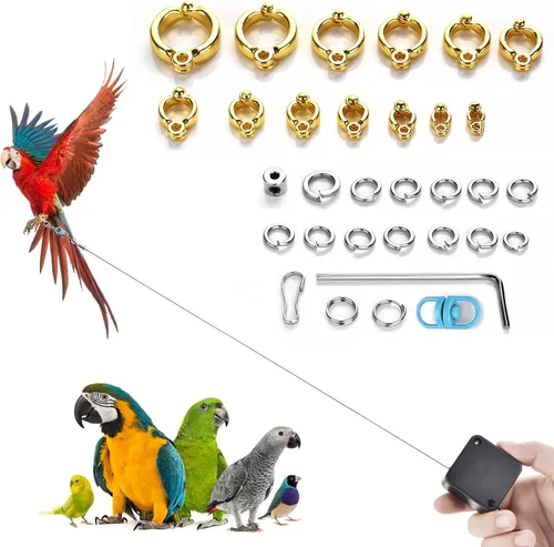 Miniatura 9 de Correa de pájaro de 6.6 pies, con 13 tamaños diferentes de anillo de pie retráctil antimordedura, cuerda de entrenamiento de vuelo de pájaros