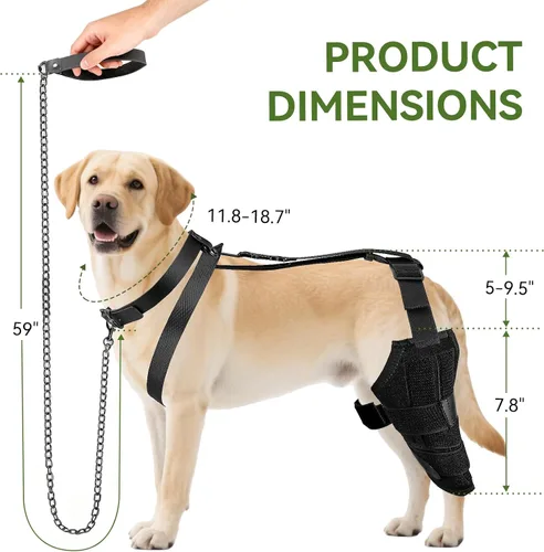 Miniatura 2 de Rodillera de perro para pierna trasera, soporte ajustable para piernas de perro para desgarro de ACL, soporte de pierna trasera, estabilidad