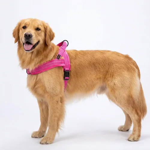 Miniatura 2 de Didog Arnés de chaleco acolchado de franela suave para perro, sin tirones, de ajuste rápido, arnés reflectante para perro, fácil para entrenar