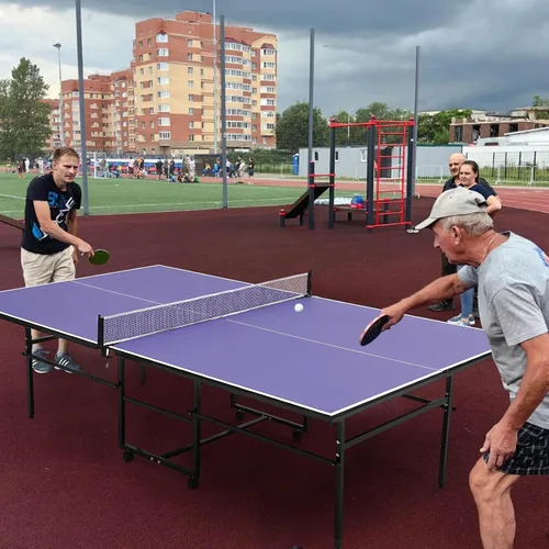 Miniatura 3 de Mesa de ping pong portátil, 9 pies mesa de tenis de mesa profesional para interiores y exteriores con red para adultos/adolescentes, 2 paletas