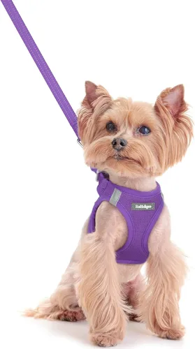 Miniatura 108 de rabbitgoo Juego de arnés para perro de tamaño pequeño y correa, chaleco ligero suave para cachorro, arnés de malla transpirable para mascotas