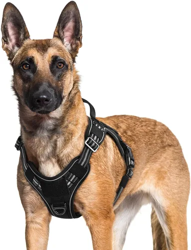 Miniatura 45 de rabbitgoo - Arnés para perros pequeño sin tirones, chaleco táctico de servicio con Molle y asa de control, arnés militar ajustable y reflectante