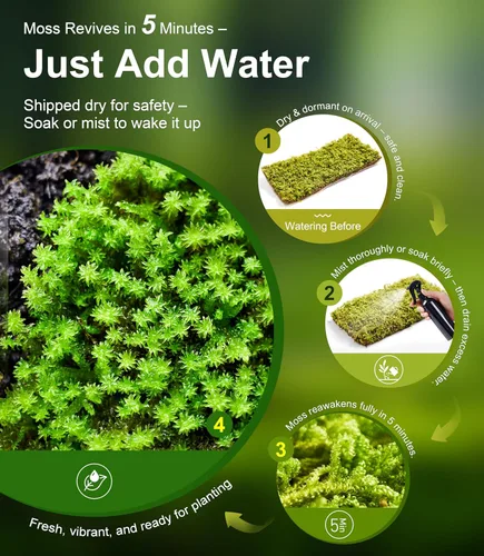 Miniatura 3 de Live Moss - Paquete de 4 (cada uno de 3.5 x 7 pulgadas), musgo mezclado real para terrarios, hábitats de reptiles, jardines de hadas y plantas