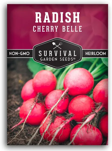 Survival Garden Seeds - Semilla de rábano Cherry Belle para plantar - Paquete con instrucciones para plantar y cultivar deliciosos rábanos rojos de