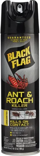 Miniatura 2 de Black Flag Ant and Roach Killer 17.5 onzas, aerosol en aerosol, sin perfume