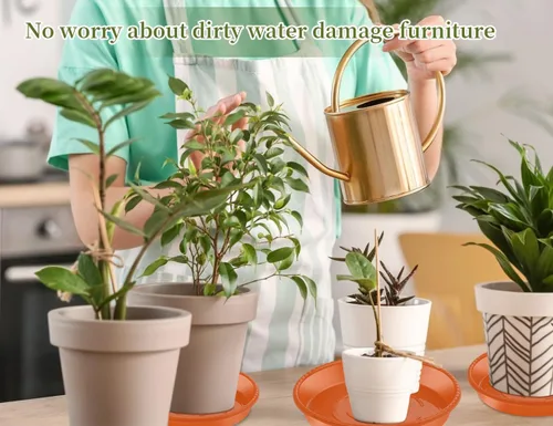 Miniatura 5 de SupKing Paquete de 9 Platillos para Plantas (6 pulgadas /8 pulgadas /10 pulgadas), Bandejas Resistentes y Robustas para Plantas, Bandeja