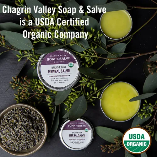 Miniatura 7 de Chagrin Valley Soap & Salve Champú seco natural orgánico en polvo, para cabello claro, menta fresca, absorbe el aceite entre lavados, refresca