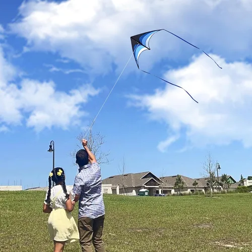 Miniatura 4 de Mint's Colorful Life - Cometa Delta para niños y adultos, cometa extremadamente fácil de volar, las mejores cometas para principiantes
