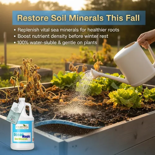 Miniatura 2 de Fertilizante mineral Ocean Magic Sea por GS Plant Foods (1 galón) – Concentrado líquido para mejorar la salud mineral del suelo – Minerales marinos