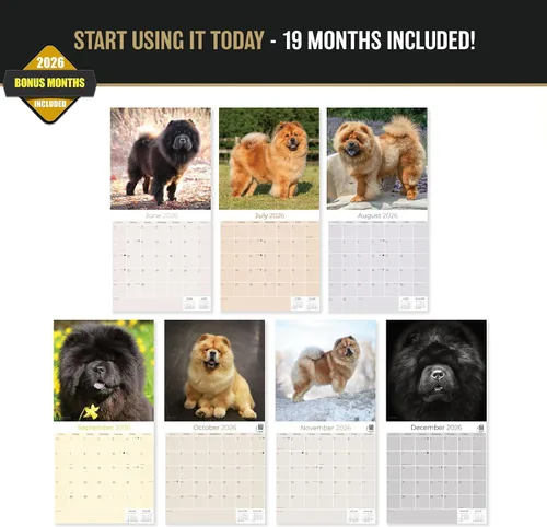 Miniatura 3 de Calendario Chow Chow 2025 2026 – Calendario mensual de pared de raza de perro – 12 x 24 pulgadas abierto – Papel grueso sin sangrado – Regalar