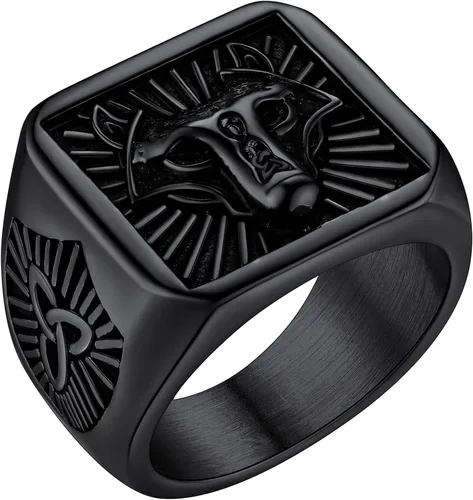 FaithHeart Anillos de sello de cabeza de lobo para hombres y mujeres, anillo vikingo nórdico de acero inoxidable, tamaño 7891011121314 personalizado