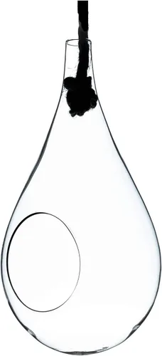 WGV - Maceta colgante terrario, ancho de 6 pulgadas, altura de 11 pulgadas, suculentas de vidrio transparente para suculentas, contenedor floral de