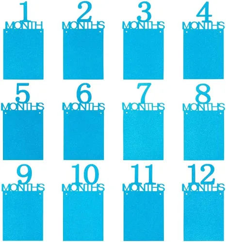 Miniatura 3 de Cartel de fotos de primer cumpleaños para niño y niña, cartel de fotos de primer cumpleaños, registro de crecimiento del bebé, imágenes de 1 a 12