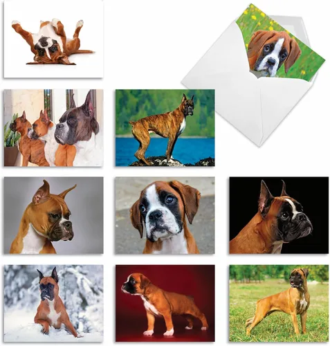 Miniatura 13 de The Best Card Company - 10 adorables tarjetas de perro en blanco (4 x 5.12 pulgadas) - Razas de mascotas surtidas, juego en caja - Adorables perros