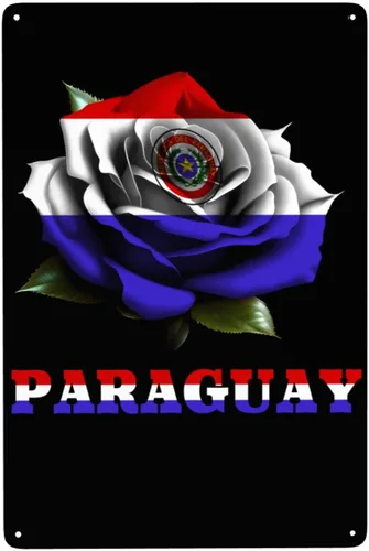 Miniatura 13 de Letrero de bandera de palestina con diseño de rosa y hierro, arte de pared para interiores y exteriores, hogar, dormitorio, bar, café, cocina