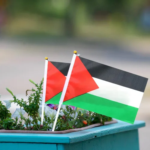 Miniatura 3 de 200 mini banderas palestinas palestinas de mano pequeñas banderas de Palestina en miniatura en soporte de palestina, bandera ondeadora de mano – 5.5