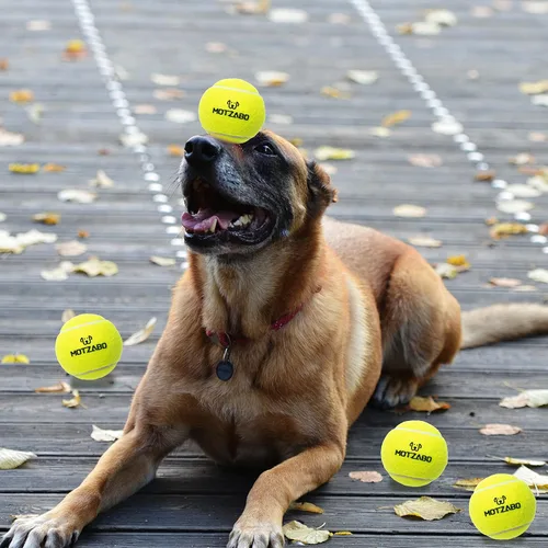 Miniatura 4 de Pelotas de tenis para perros, paquete de 12 pelotas interactivas chirriantes de 2.5 pulgadas para perros pequeños, medianos y grandes, juguetes