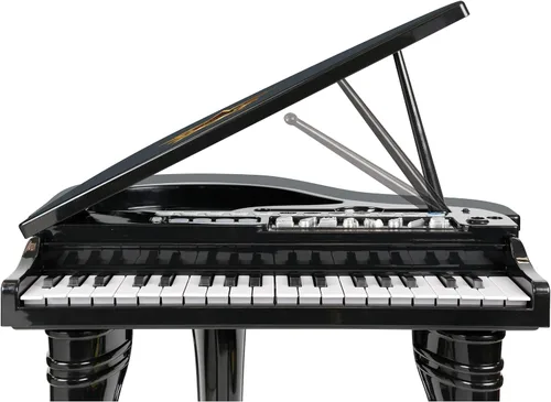 Miniatura 3 de Winfun Juego de piano de cola sinfónico para niños a partir de 37 años, 37 teclas, 15 canciones de demostración, 8 instrumentos y ritmos, grabación