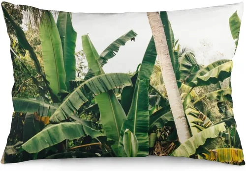 Miniatura 24 de Protector de almohada de playa con palmeras tropicales de 16 x 14 pulgadas, palmeras de playa, paisaje marino costero, decorativo, rectangular