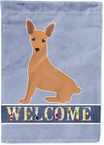 Miniatura 61 de Caroline's Treasures CK3647CHF - Bandera de bienvenida con diseño de bulldog francés, manga grande, para porche, para colgar en la pared, poliéster
