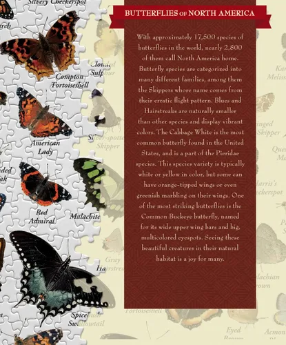 Miniatura 3 de MasterPieces Rompecabezas de 1000 piezas para adultos, familia o jóvenes, mariposas de América del Norte, 19.25 x 26.75 pulgadas
