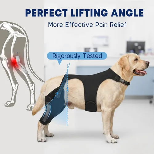 Miniatura 2 de Rodillera para perro para pierna trasera desgarrada del ligamento cruzado anterior, soporte ajustable para piernas de perro con estabilizadores