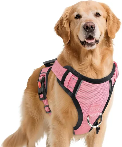 Miniatura 9 de Arnés para perro sin tirón con 2 clips de correa, chaleco reflectante ajustable y acolchado con asa, chaleco Oxford transpirable sin