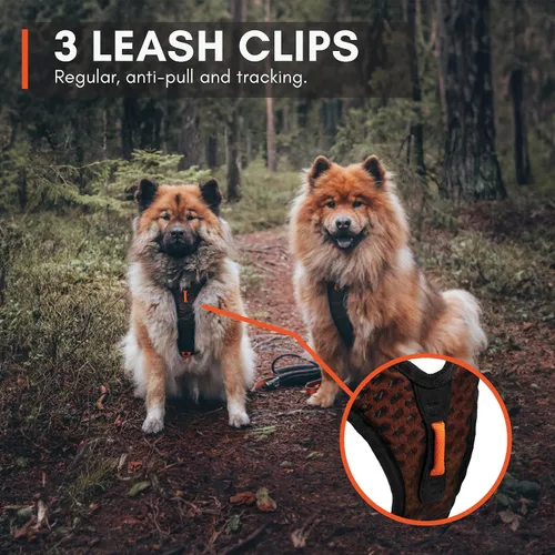 Miniatura 6 de Non-stop dogwear Rock Arnés ajustable para perros pequeños con 3 clips para correa, asa y reflectante, negro/naranja, talla XS